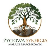 Podcast Życiowa Synergia