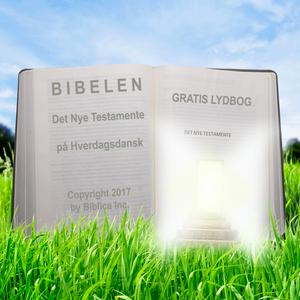 Bibelen som lydbog (Regulær oplæsning) - Det Nye Testamente på Hverdagsdansk