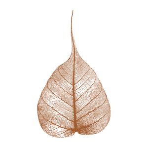 Dhammatalks.org Short Morning Talks