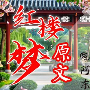 新制《红楼梦》原文演播|阿东|不老不少青年男音