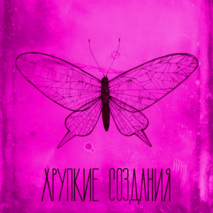 Хрупкие создания