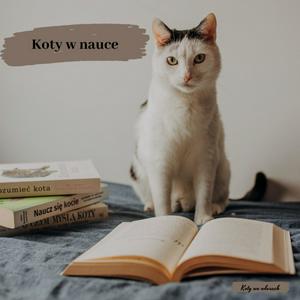 Koty w nauce / Kocie Gaduły