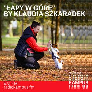 Łapy w górę