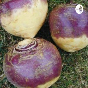 Lars the Rutabaga