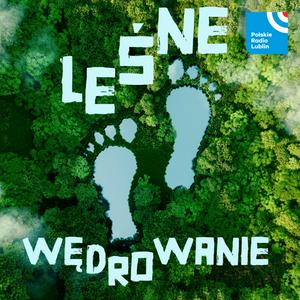 Leśne wędrowanie w Radiu Lublin