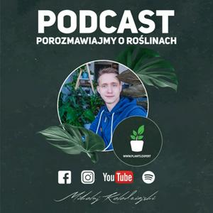 POROZMAWIAJMY O ROŚLINACH