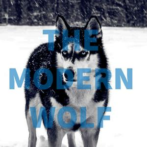The Modern Wolf - A Dog Dad's Guide