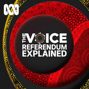 The Voice Referendum Explained